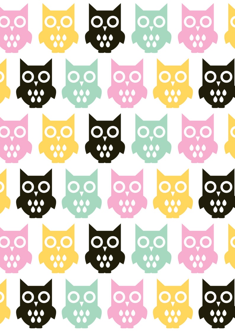 Owls Postcard image 2