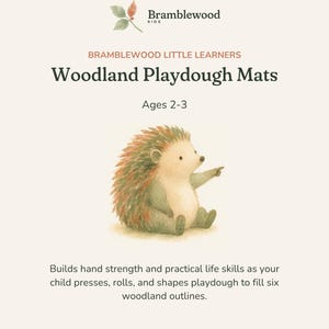 May include: Bramblewood Kids Woodland Playdough Mats for ages 2-3. The page features a watercolor illustration of a hedgehog and text describing the product as a tool to build hand strength and practical life skills by filling six woodland outlines.