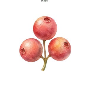 May include: A playdough mat featuring a watercolor illustration of three red berries on a stem. The text reads: Berries &mdash; Fill It In. Flatten small balls of dough and press them inside the shape. Bramblewood Little Learners &middot; Woodland Playdough Mats &middot; 9