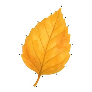 May include: A lacing card featuring a watercolor illustration of a golden yellow leaf with black dots along the edges for punching holes. The text reads Gold Leaf - Level 1, Punch a hole at each dot, then lace with string, and Bramblewood Little Learners - Woodland Lacing Cards - 7.