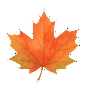 May include: A watercolor illustration of an orange and yellow maple leaf with black dots along the edges for lacing. The text reads: Maple Leaf - Level 1. Punch a hole at each dot, then lace with string. Bramblewood Little Learners - Woodland Lacing Cards - 5.