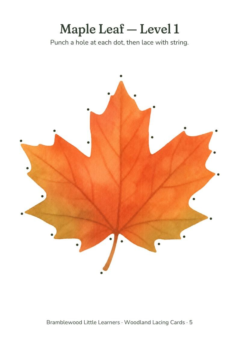 May include: A watercolor illustration of an orange and yellow maple leaf with black dots along the edges for lacing. The text reads: Maple Leaf - Level 1. Punch a hole at each dot, then lace with string. Bramblewood Little Learners - Woodland Lacing Cards - 5.