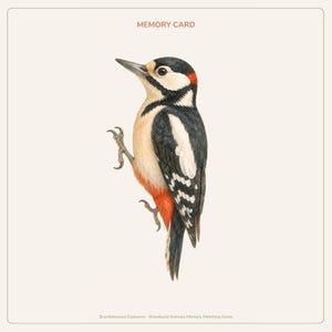 Peut inclure: Une carte m&eacute;moire carr&eacute;e pr&eacute;sentant une illustration d&eacute;taill&eacute;e d'un pic avec un plumage noir, blanc et rouge. Le texte MEMORY CARD est imprim&eacute; en haut, et Bramblewood Explorers Woodland Animals Memory Matching Game est en bas.