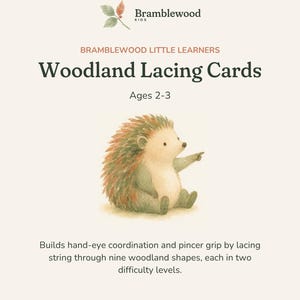 May include: A product packaging cover for Bramblewood Kids Woodland Lacing Cards for ages 2-3. The design features a watercolor illustration of a hedgehog and text describing the product as a tool for hand-eye coordination and pincer grip.