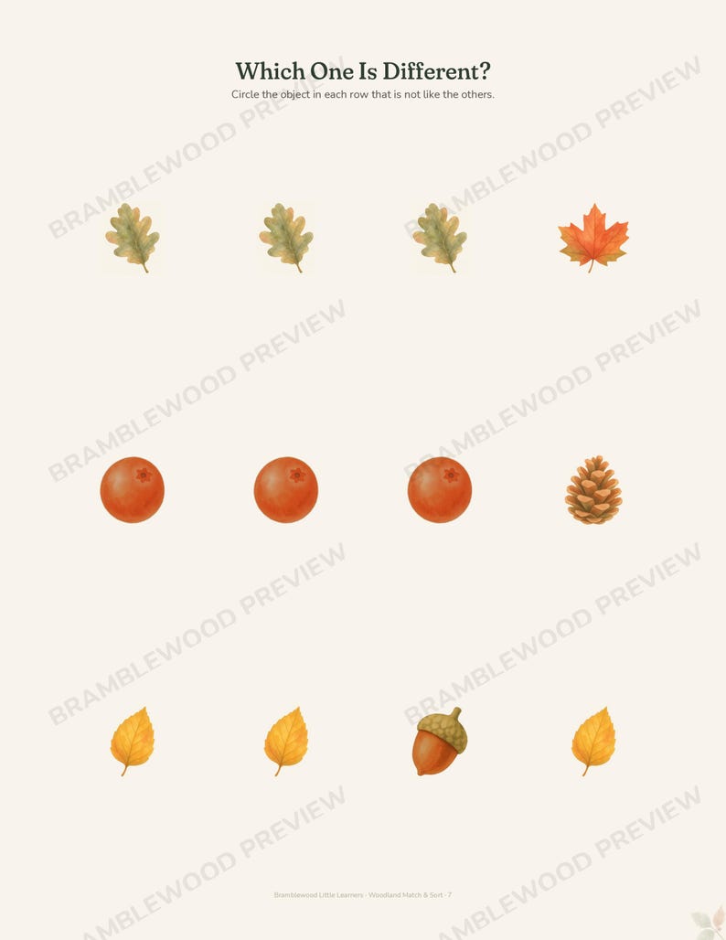 May include: An educational worksheet titled Which One Is Different? with the instruction to circle the object in each row that is not like the others. It features three rows of watercolor illustrations including oak leaves, a maple leaf, berries, a pinecone, and an acorn.