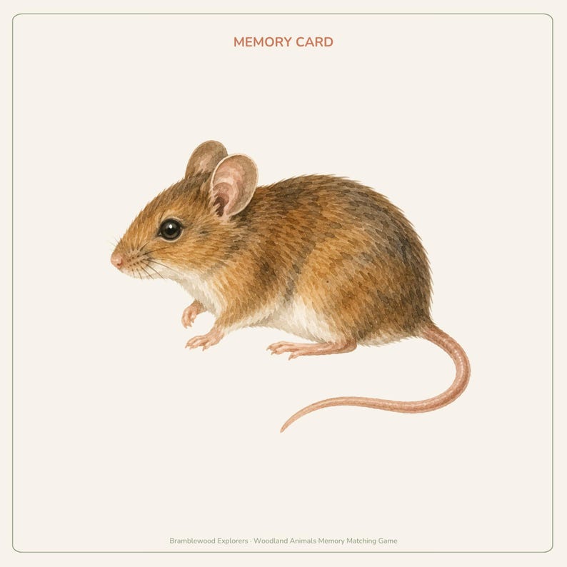 Peut inclure: Une carte m&eacute;moire carr&eacute;e pr&eacute;sentant une illustration aquarelle d&eacute;taill&eacute;e d'une souris brune de profil. Le texte MEMORY CARD est imprim&eacute; en brun en haut, et Bramblewood Explorers Woodland Animals Memory Matching Game est en bas.