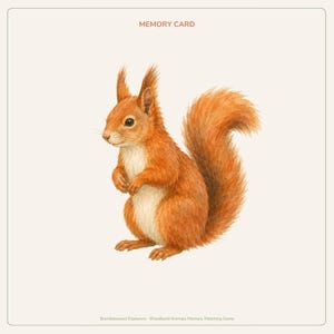 Peut inclure: Une carte m&eacute;moire carr&eacute;e pr&eacute;sentant une illustration aquarelle d&eacute;taill&eacute;e d'un &eacute;cureuil roux avec une queue touffue et un poitrail blanc. Le texte MEMORY CARD est imprim&eacute; en haut, et Bramblewood Explorers Woodland Animals Memory Matching Game en bas.