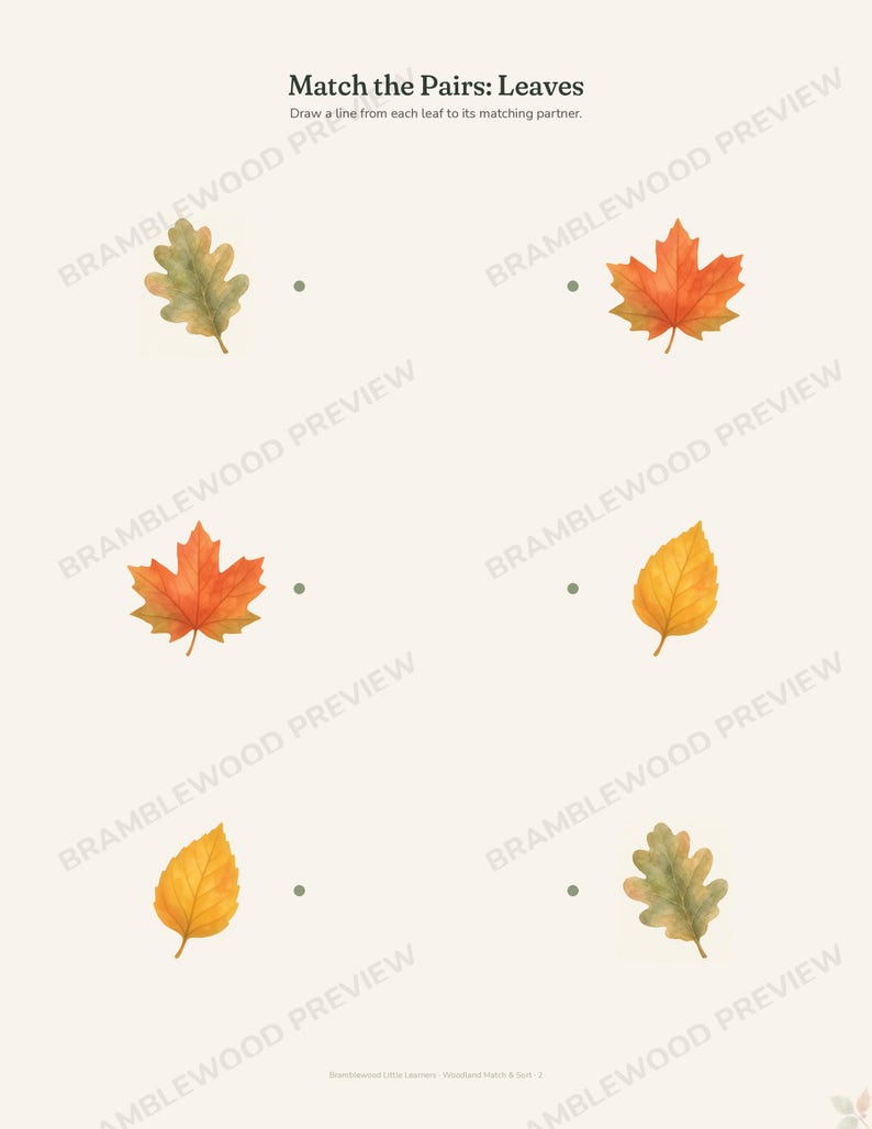 May include: A worksheet titled Match the Pairs: Leaves with the instruction Draw a line from each leaf to its matching partner. The page features six watercolor-style leaf illustrations arranged in two columns with dots for matching pairs.