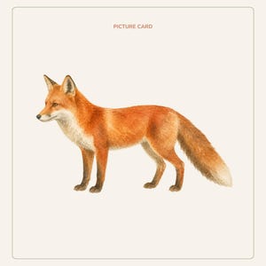 K&ouml;nnte beinhalten: Eine rechteckige Bildkarte mit einer Aquarellillustration eines Rotfuchses, der im Profil nach links steht. Der Fuchs hat orange-rotes Fell, eine wei&szlig;e Brust und schwarz gef&auml;rbte Beine. Der Text "PICTURE CARD" ist oben mittig in Braun gedruckt.