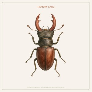 Peut inclure: Une carte m&eacute;moire rectangulaire pr&eacute;sentant une illustration d&eacute;taill&eacute;e d'un cerf-volant avec de grandes mandibules brun-rouge, un thorax sombre et des &eacute;lytres bruns. Le texte MEMORY CARD figure en haut et Bramblewood Explorers Woodland Animals Memory Matching Game est imprim&eacute; en bas.