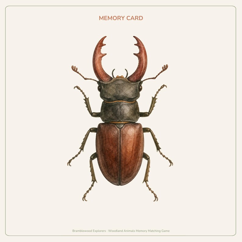 Peut inclure: Une carte m&eacute;moire rectangulaire pr&eacute;sentant une illustration d&eacute;taill&eacute;e d'un cerf-volant avec de grandes mandibules brun-rouge, un thorax sombre et des &eacute;lytres bruns. Le texte MEMORY CARD figure en haut et Bramblewood Explorers Woodland Animals Memory Matching Game est imprim&eacute; en bas.