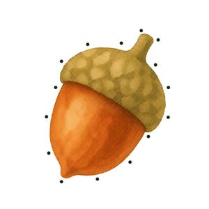 May include: A watercolor illustration of an acorn with a textured brown cap and smooth orange nut. The image features black dots around the acorn for lacing, with the text: Acorn - Level 1, Punch a hole at each dot, then lace with string, Bramblewood Little Learners - Woodland Lacing Cards - 9.