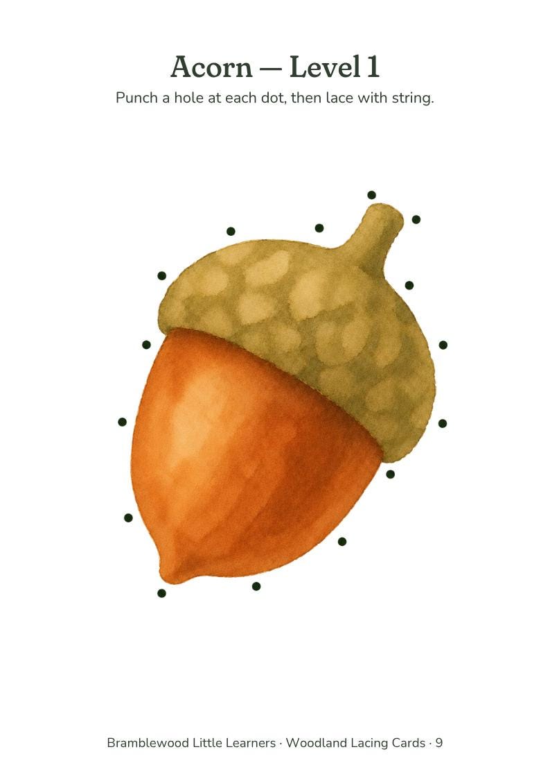 May include: A watercolor illustration of an acorn with a textured brown cap and smooth orange nut. The image features black dots around the acorn for lacing, with the text: Acorn - Level 1, Punch a hole at each dot, then lace with string, Bramblewood Little Learners - Woodland Lacing Cards - 9.