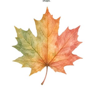May include: A playdough mat featuring a watercolor illustration of a maple leaf with green, orange, and red hues. The text reads: Maple Leaf &mdash; Fill It In. Flatten small balls of dough and press them inside the shape. Bramblewood Little Learners &middot; Woodland Playdough Mats &middot; 7