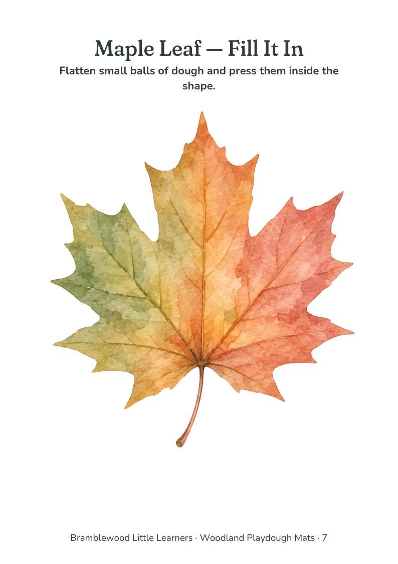 May include: A playdough mat featuring a watercolor illustration of a maple leaf with green, orange, and red hues. The text reads: Maple Leaf &mdash; Fill It In. Flatten small balls of dough and press them inside the shape. Bramblewood Little Learners &middot; Woodland Playdough Mats &middot; 7
