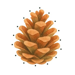 May include: A watercolor illustration of a brown pinecone surrounded by black dots for punching holes. The text reads: Pinecone - Level 1, Punch a hole at each dot, then lace with string, and Bramblewood Little Learners - Woodland Lacing Cards - 13.