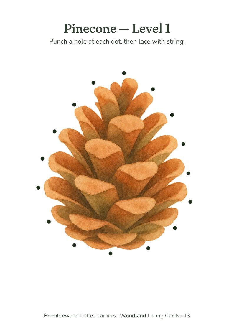 May include: A watercolor illustration of a brown pinecone surrounded by black dots for punching holes. The text reads: Pinecone - Level 1, Punch a hole at each dot, then lace with string, and Bramblewood Little Learners - Woodland Lacing Cards - 13.