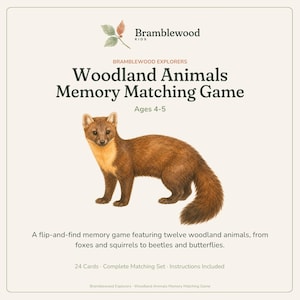 Peut inclure: Un jeu de m&eacute;moire Bramblewood Kids Woodland Animals pour les 4-5 ans. La bo&icirc;te pr&eacute;sente une illustration de martre brune, le texte Bramblewood Explorers, et d&eacute;crit un jeu de paires avec 24 cartes, douze animaux et des instructions incluses.