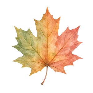 May include: A playdough mat featuring a watercolor illustration of a maple leaf with green, yellow, and red hues. The text reads: Maple Leaf &mdash; Build the Edge. Roll a snake of dough and lay it along the outline. Bramblewood Little Learners - Woodland Playdough Mats - 8.
