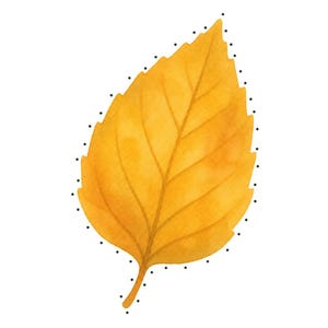 May include: A yellow leaf-shaped lacing card with black dots along the perimeter. The text reads: Gold Leaf - Level 2. More holes, spaced closer together. Bramblewood Little Learners - Woodland Lacing Cards - 8. The leaf has a central vein.