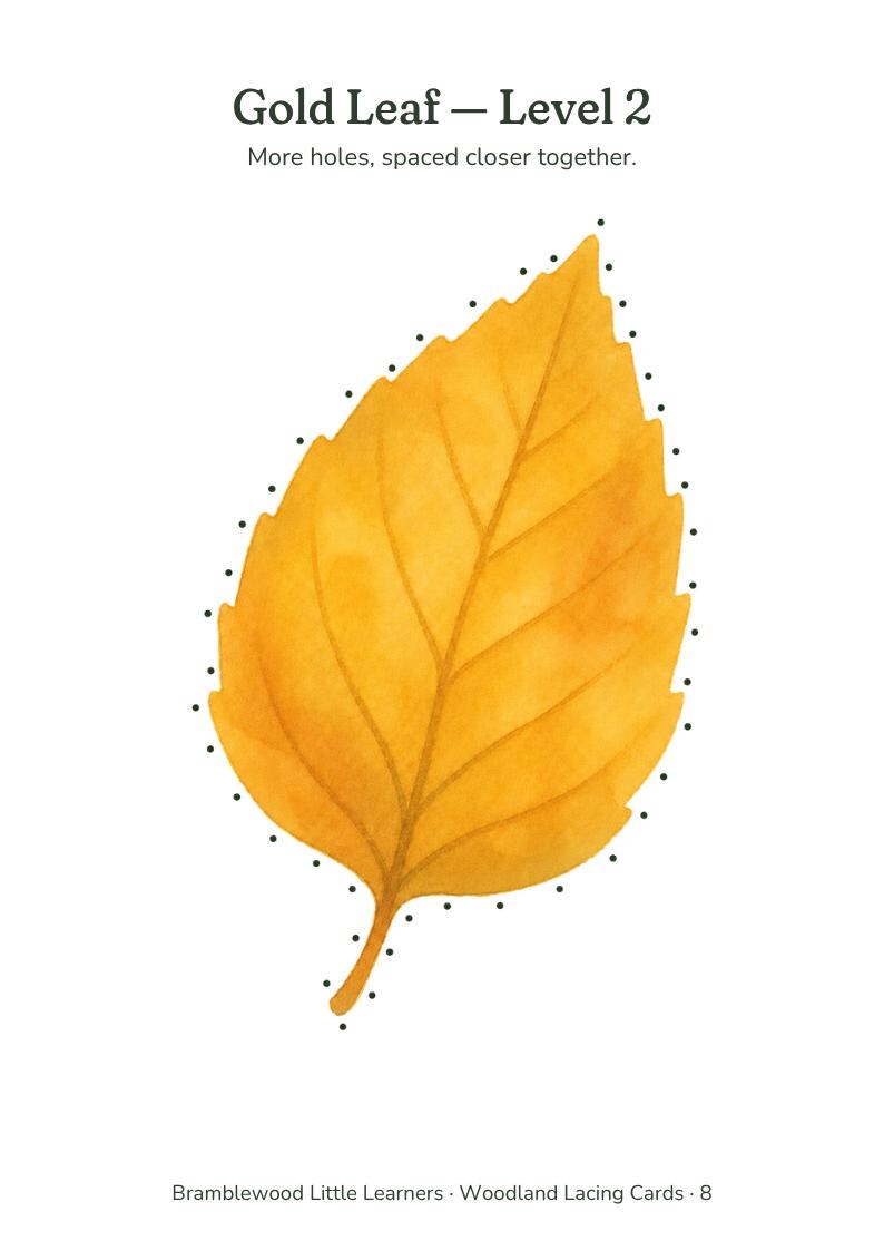 May include: A yellow leaf-shaped lacing card with black dots along the perimeter. The text reads: Gold Leaf - Level 2. More holes, spaced closer together. Bramblewood Little Learners - Woodland Lacing Cards - 8. The leaf has a central vein.