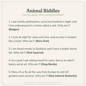 May include: A light beige educational worksheet titled Animal Riddles featuring five numbered questions about wildlife. The text includes clues about a badger, barn owl, red squirrel, stag beetle, and red admiral butterfly with answers in bold.
