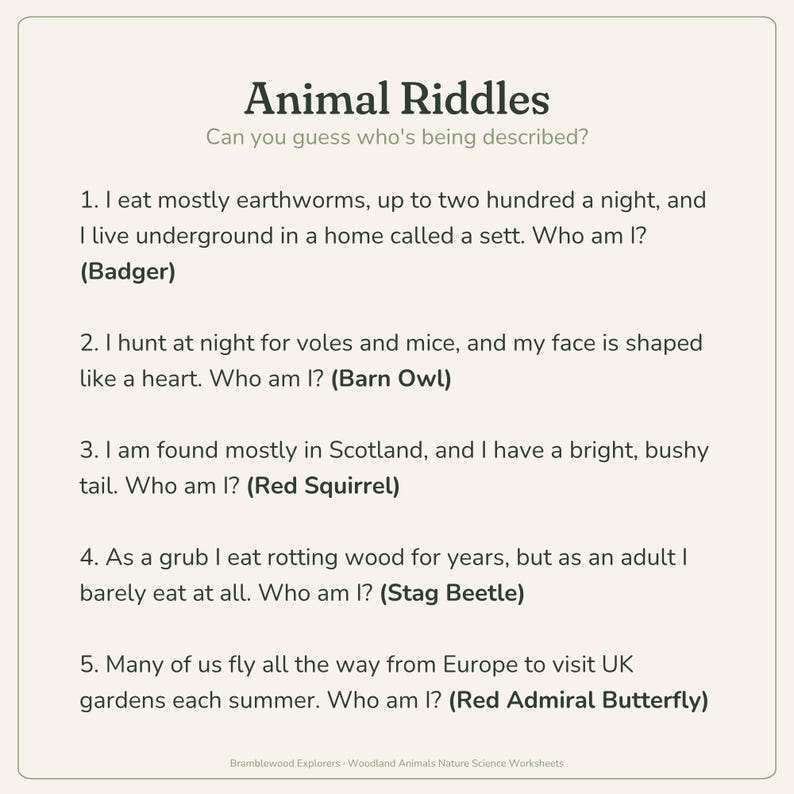 May include: A light beige educational worksheet titled Animal Riddles featuring five numbered questions about wildlife. The text includes clues about a badger, barn owl, red squirrel, stag beetle, and red admiral butterfly with answers in bold.