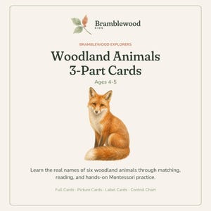 K&ouml;nnte beinhalten: Ein Set aus dreiteiligen Waldtier-Karten von Bramblewood Kids f&uuml;r 4- bis 5-J&auml;hrige. Die Karte zeigt eine detaillierte Illustration eines Rotfuchses und den Text: Learn the real names of six woodland animals through matching, reading, and hands-on Montessori practice. Full Cards, Picture Cards, Label Cards, Control Chart.