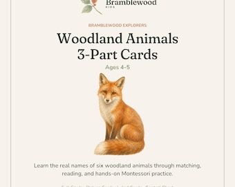 Cartes en trois parties sur les animaux de la forêt, cartes de nomenclature Montessori, 4-5 ans