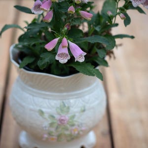Peut inclure: Une plante digitale en pot avec des fleurs tubulaires roses aux gorges tachetées, placée dans un cache-pot en céramique blanche. Le pot présente un bord festonné, un corps arrondi avec des motifs géométriques en relief et un motif floral peint.