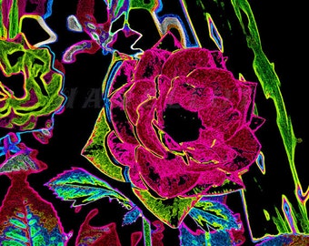 Roses Printable Pop Art Instant Download