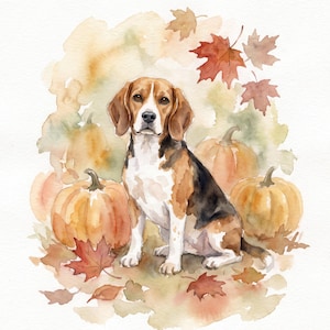 Peut inclure: Une illustration à l'aquarelle représentant un chien beagle assis parmi des citrouilles orange et des feuilles d'érable d'automne éparpillées. Le chien a un pelage marron, noir et blanc. Le fond présente des lavis doux de peinture verte, jaune et marron.