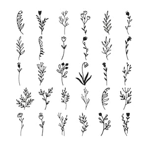 May include: A collection of thirty black line art illustrations arranged in a grid, featuring various botanical elements including simple flowers, leafy branches, ferns, and sprigs with berries, all rendered in a clean, hand-drawn style.