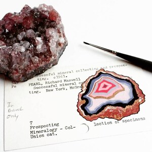 Agate on Library Card - Print of Agate Painted on Library Card for the ...