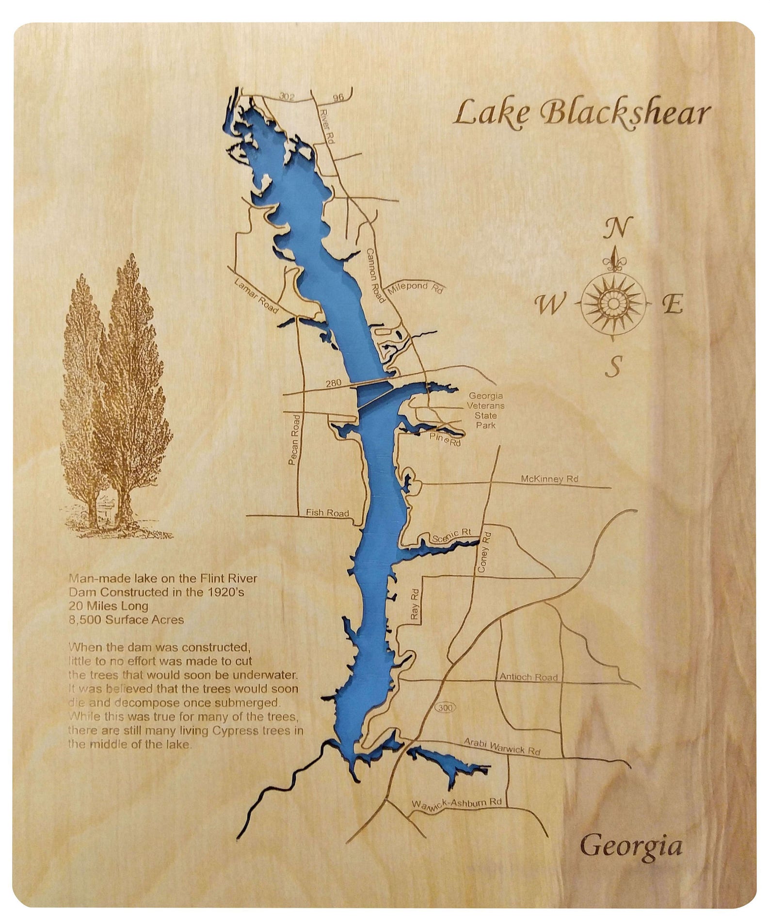 Custom Map of Lake Blackshear Wood Laser Cut Engraved Etsy