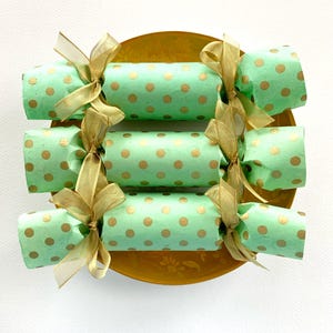 NEW! Mint Wedding Party Cracker   Set of 6