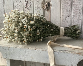 Dried White Flower Bundle/Everlasting Flowers/ Country Style/ Gathered Flowers