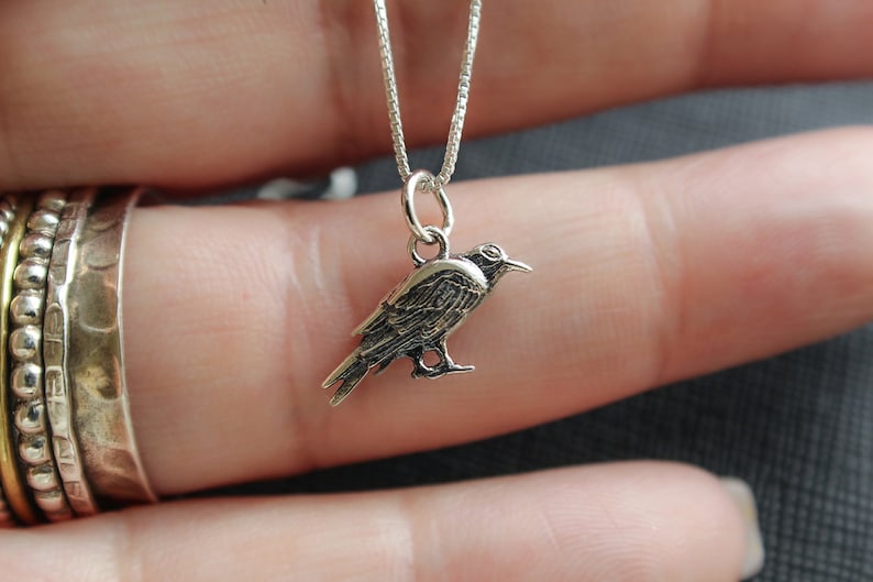 Tiny Raven Sterling Silver Necklace. Raven Jewelry Dainty Etsy