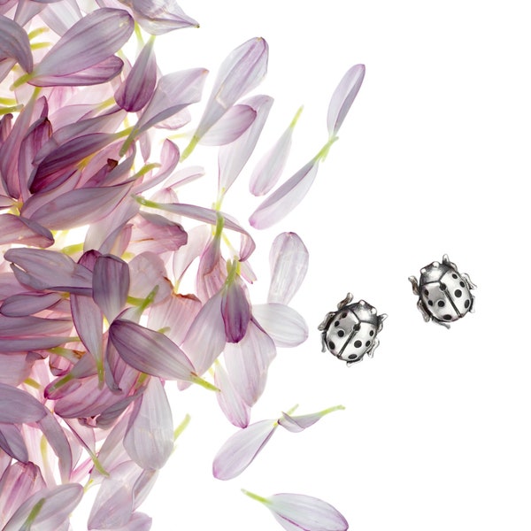 Sterling Silver Ladybug Stud Earrings. Good Luck Earrings, Bug Jewelry, Healing Symbol, Ladybug Jewelry, Lucky Jewelry