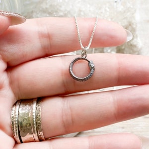 May include: A silver snake necklace with a coiled snake pendant. The snake is curled into a circle with its tail in its mouth.