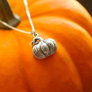 May include: A silver necklace with a detailed pumpkin charm pendant. The necklace is displayed on a bright orange pumpkin.