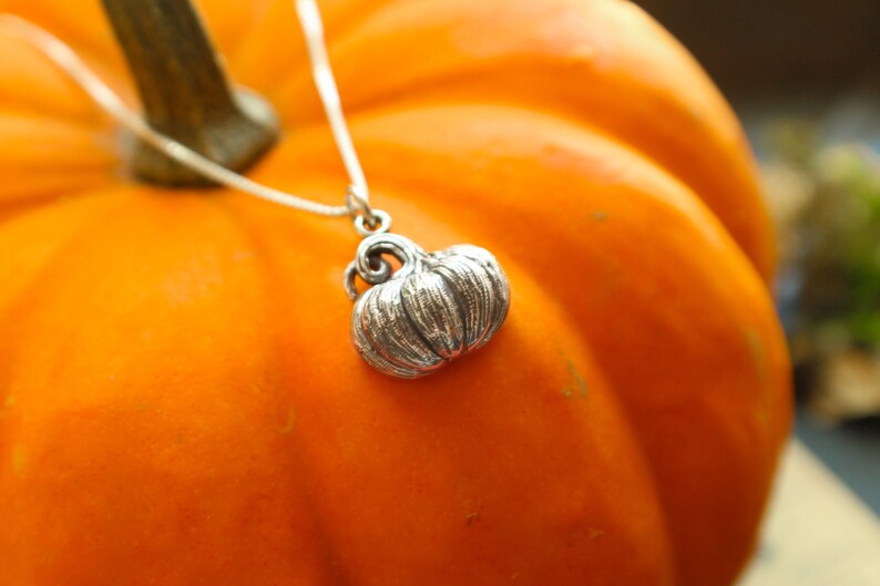 May include: A silver necklace with a detailed pumpkin charm pendant. The necklace is displayed on a bright orange pumpkin.