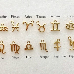 Gold Zodiac Charm: Hypoallergenic Jewelry Add On