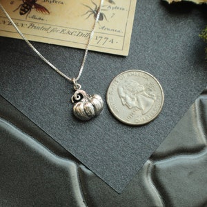 May include: A silver necklace with a small, detailed pumpkin charm. The charm is about the size of a quarter.