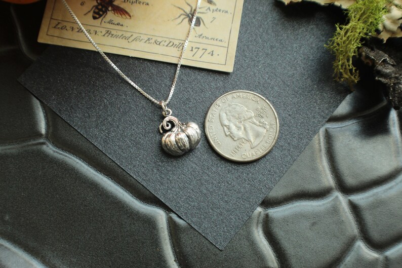 May include: A silver necklace with a small, detailed pumpkin charm. The charm is about the size of a quarter.