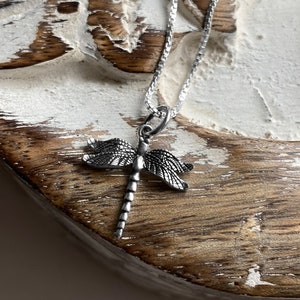 May include: A silver dragonfly pendant necklace on a silver chain. The dragonfly is detailed with intricate wings and a long, slender body.