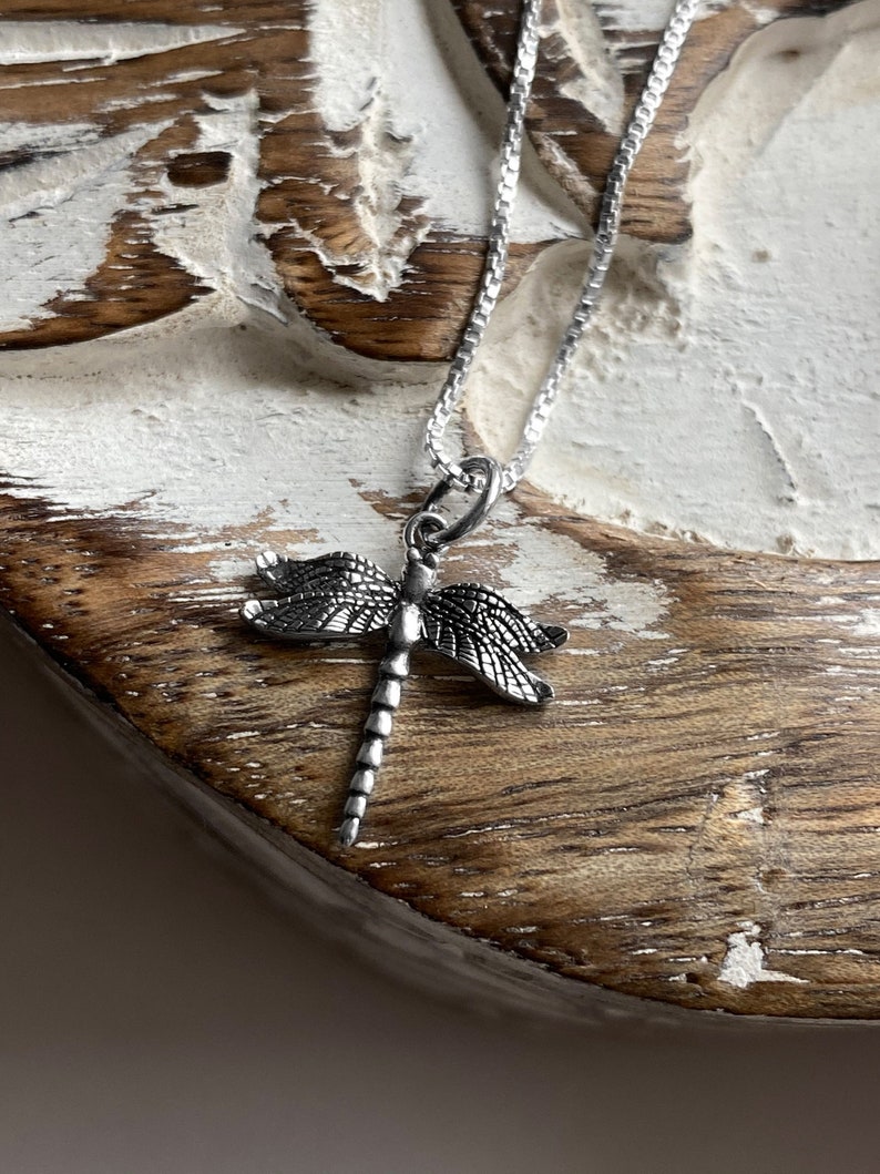 May include: A silver dragonfly pendant necklace on a silver chain. The dragonfly is detailed with intricate wings and a long, slender body.