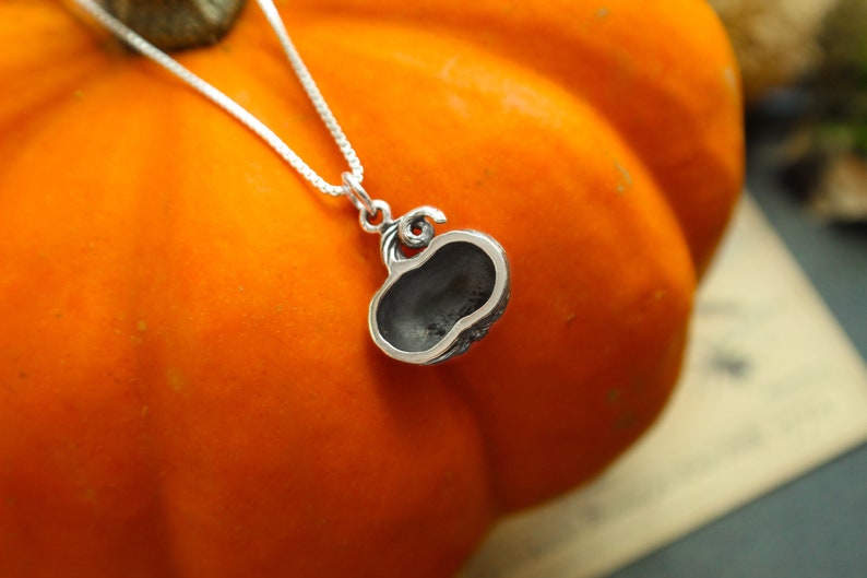 May include: A silver pumpkin charm necklace with a detailed design. The charm is hanging from a silver chain.