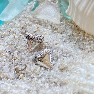 Sterling Silver Tiny Shark Tooth Stud Earrings. Shark Jewelry, Beach Jewelry, Ocean Jewelry, Surfer Earrings, Shark Teeth Studs