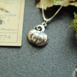 May include: A silver pumpkin charm necklace. The pumpkin is detailed with ridges and a stem.